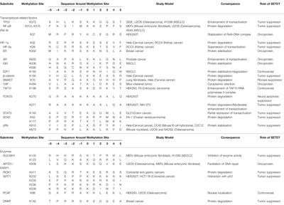 The Epigenetic Regulation of Nonhistone Proteins by SETD7: New Targets in Cancer